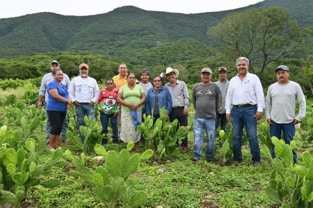 Impulsan buenas prácticas agrícolas en Gómez Farías, Llera y Xicoténcatl